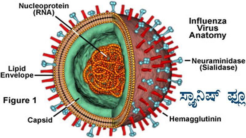 Spanish flu