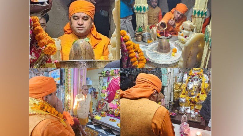 Yogi