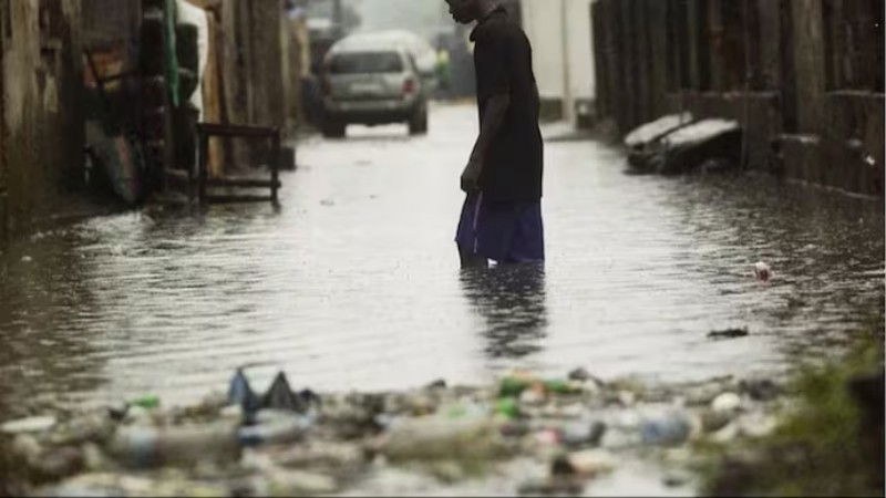 congo rain