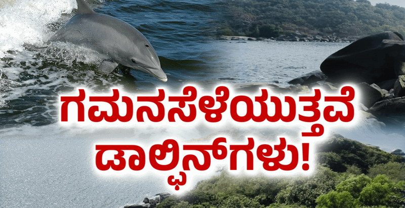 KARWAR 1