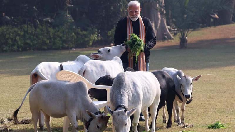 Modi 3 1