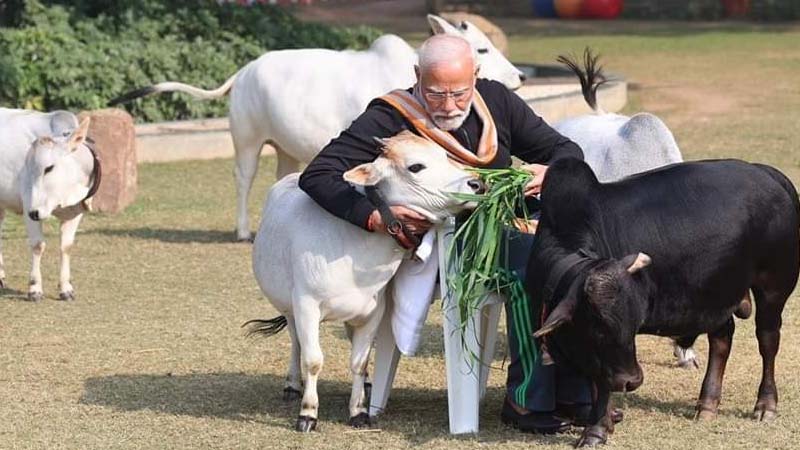 Modi 4