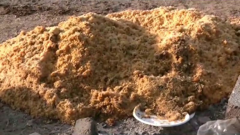 biriyani ctd