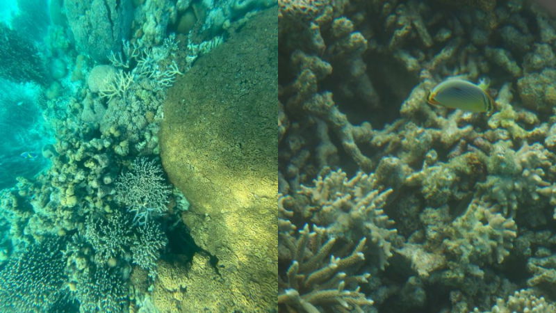 lakshadweep 1
