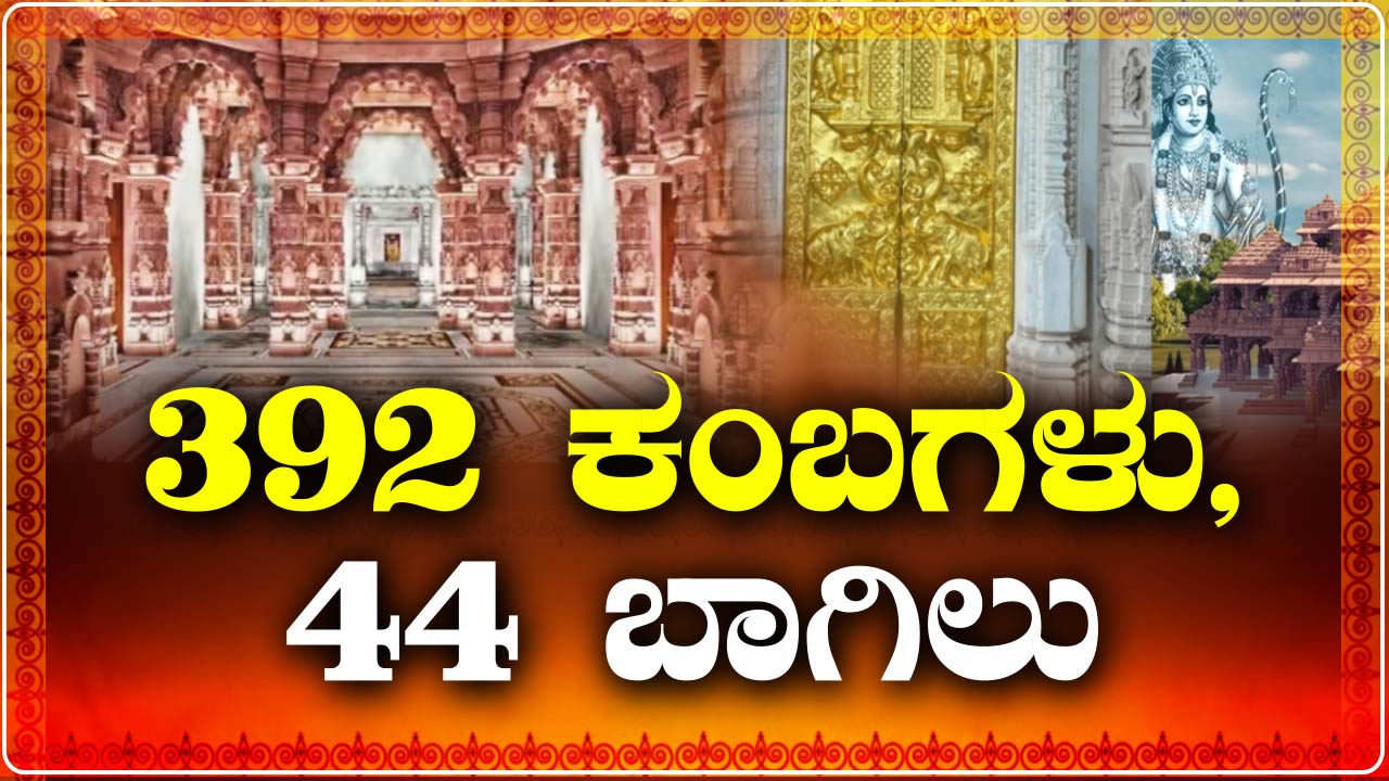 ram mandir doors pillars