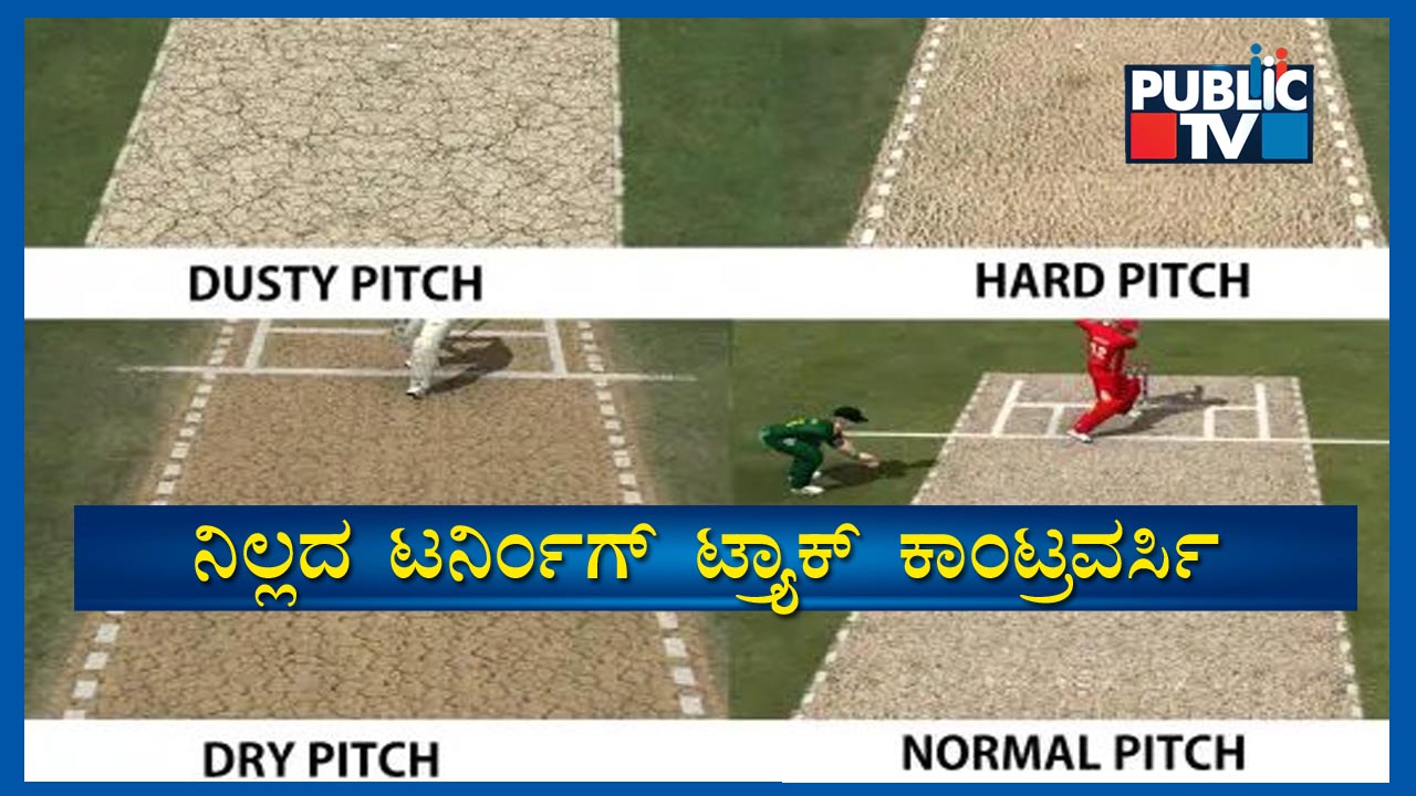 Cricket 5