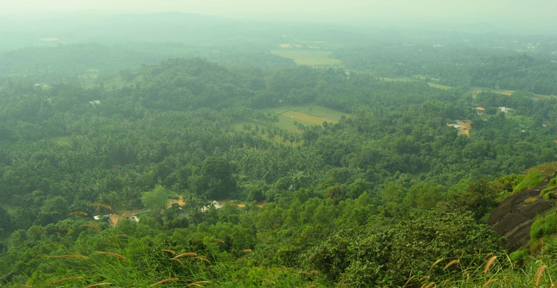 NARAHARI 2