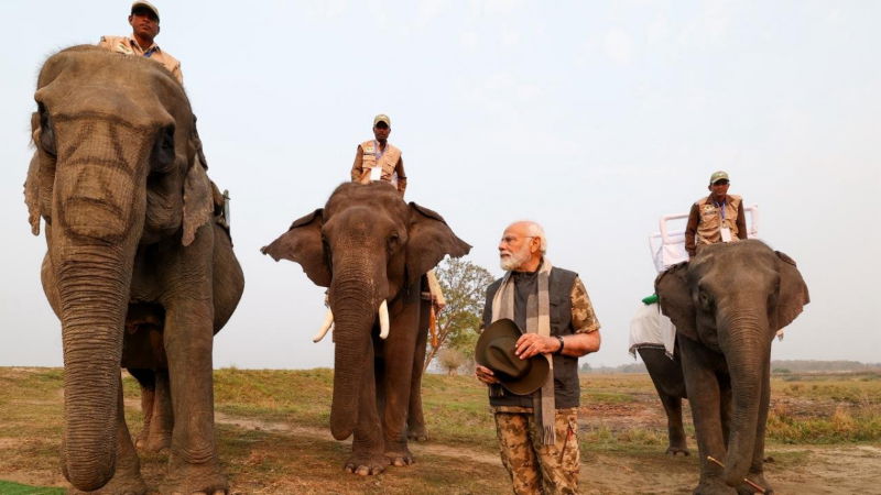 Assam MODI SAFARI 1