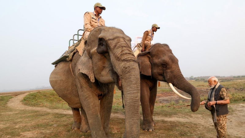 Assam Mod Safari