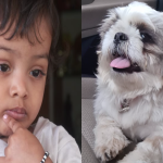BABY DOG