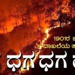 forest fire