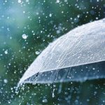 Weather 1