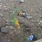 Bike falls into TB Dam backwater Youth dies one seriously injured Hosapete 1