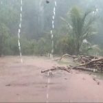 Rain 3