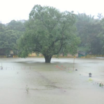 MADIKERI RAIN