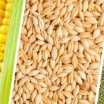 crops MSP