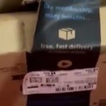 online order snake