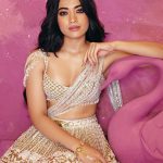 RASHMIKA MANDANNA 3