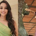 srinidhi shetty