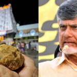 chandrababu naidu tirupati laddoos