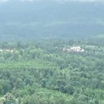 chikkamagaluru resorts