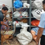 Bengaluru Drugs