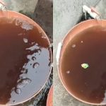 davanagere contaminated water