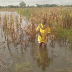 gadaga heavy rains flood malaprabha river in bennehalla