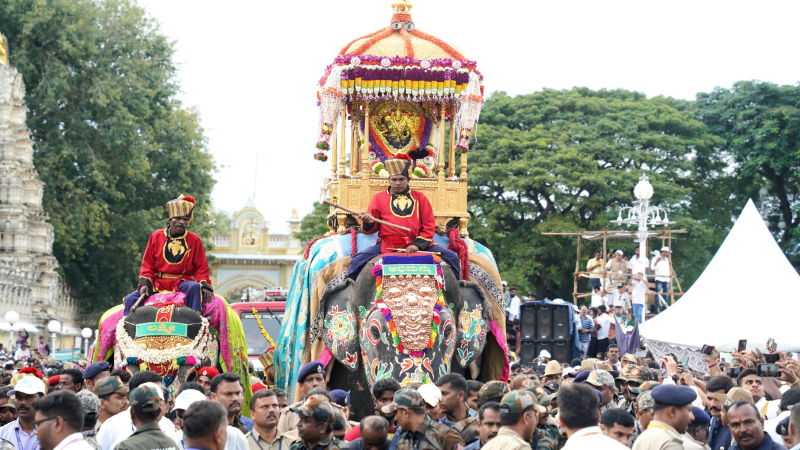 mysuru dasara jamboo savari 11