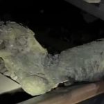 uttar pradesha train accident