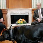 Angela Merkel please forgive me Vladimir Putin denies he tried to frighten ex Germany chancellor with his dog