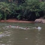 Belthangady 3 Youths Drown