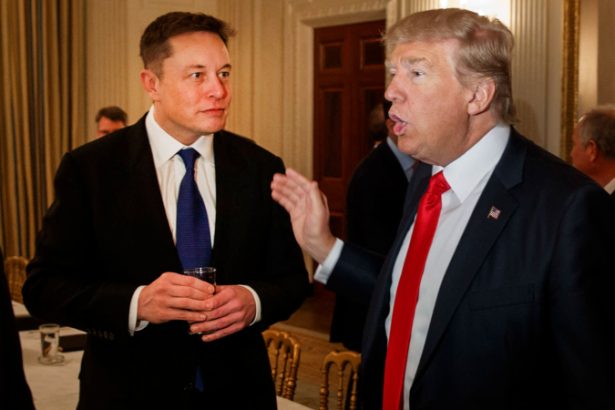 Donald Trump Elon Musk