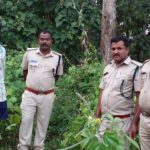 sambar deer hunting accused arrested in shivamogga
