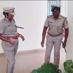 CNG GANJA ARREST AV 1