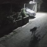 leopard near vishweshwar house