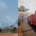 Mysuru Chamundi Hills Wildfire