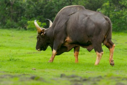 ಸಾಂದರ್ಭಿಕ ಚಿತ್ರ