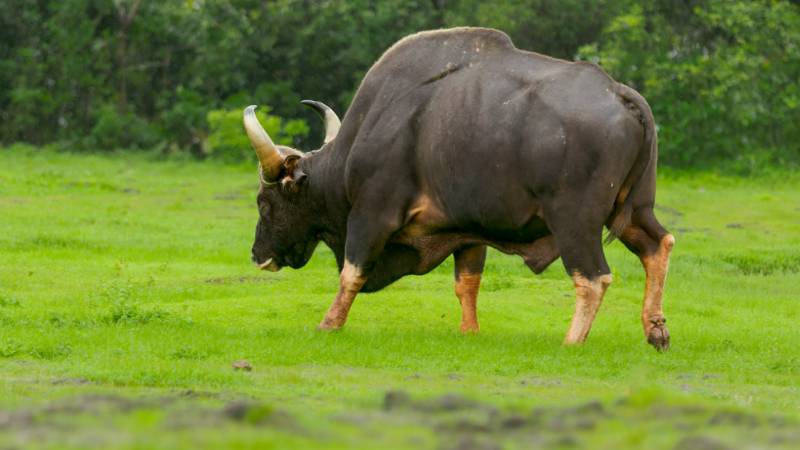 ಸಾಂದರ್ಭಿಕ ಚಿತ್ರ