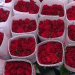 roses