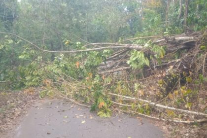 Chikkamagalur RAIN