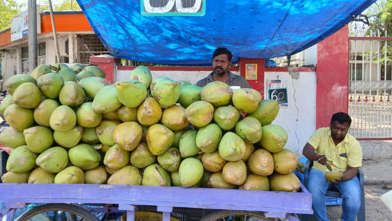 Coconut water