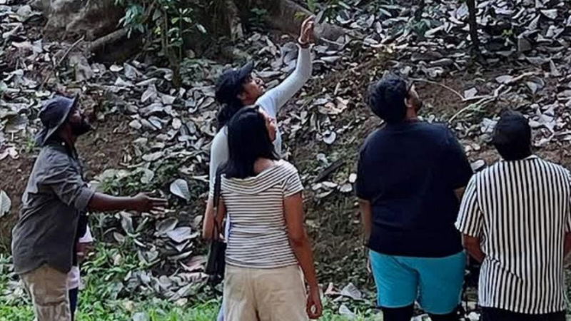 P V Sindhu Kodagu