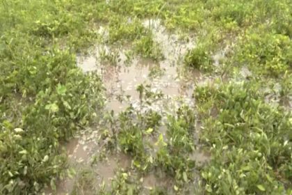 Bidar Rain 1