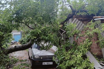 Chikkamagaluru Rain Effect