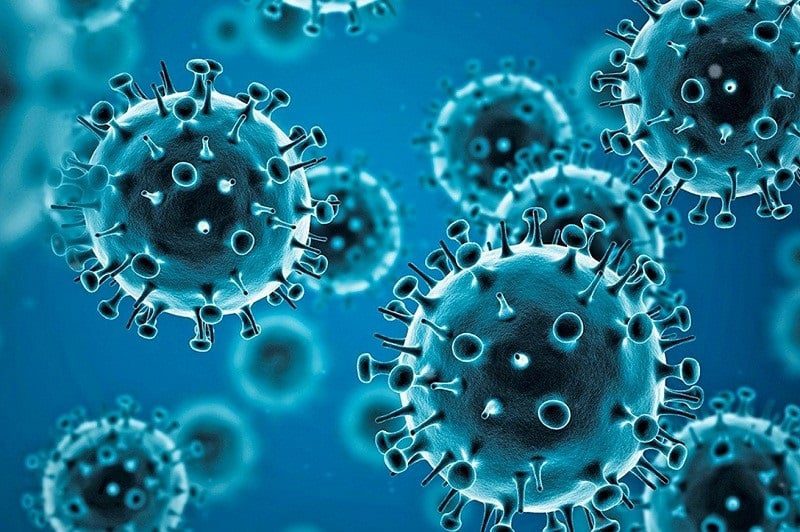 Corona Virus