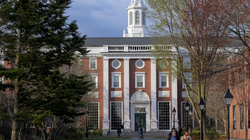 Harvard University