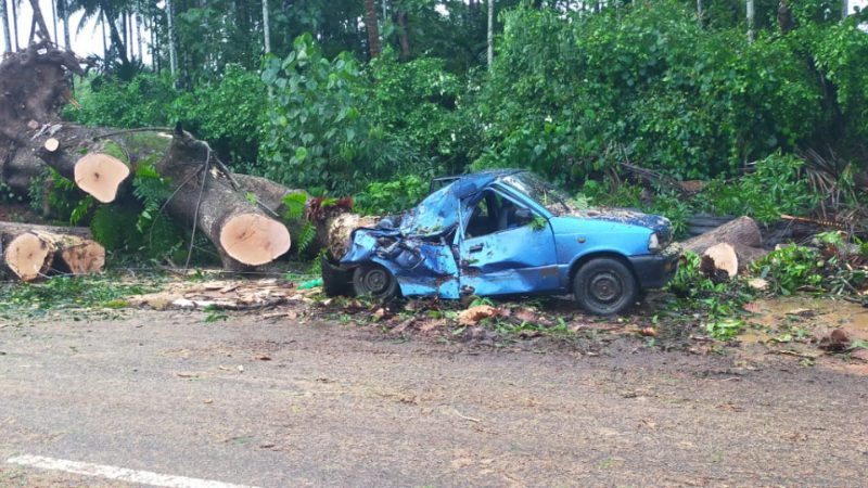 Heavy rain in Dakshina Kannada Tree falls on car Ramakunja Kadaba