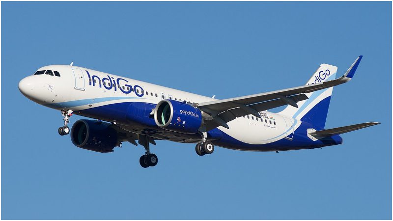 Indigo Flight