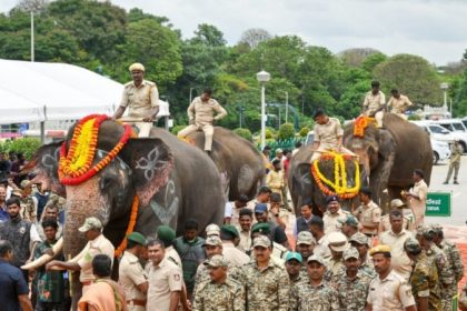 Karnataka elephants to andhra pradesh